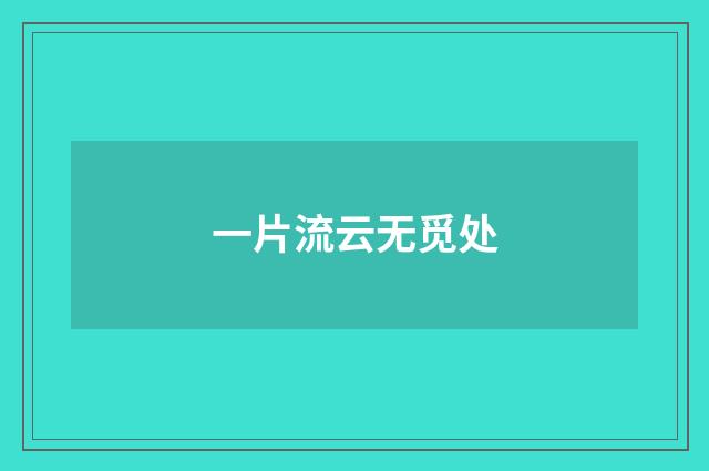 一片流云无觅处