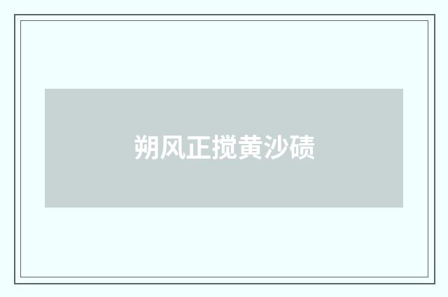 朔风正搅黄沙碛