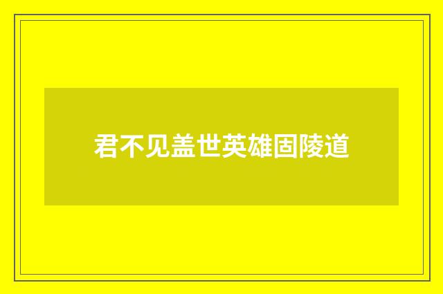 君不见盖世英雄固陵道