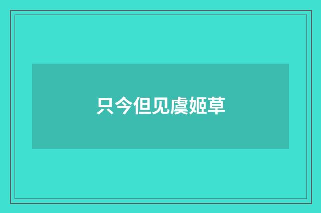 只今但见虞姬草
