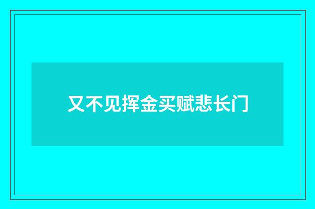 又不见挥金买赋悲长门