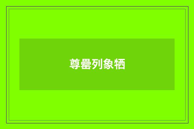 尊罍列象牺