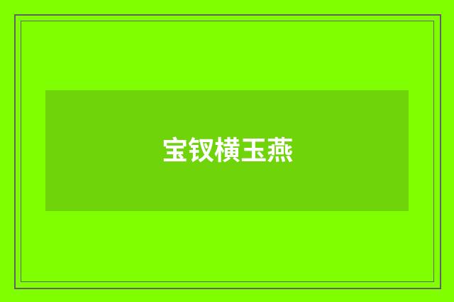 宝钗横玉燕
