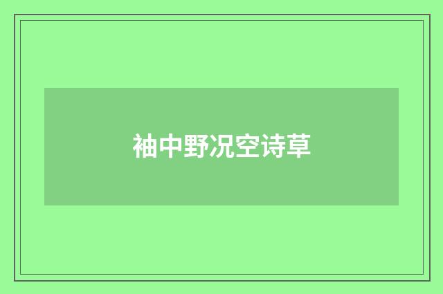 袖中野况空诗草