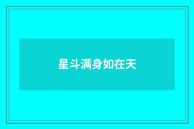 星斗满身如在天