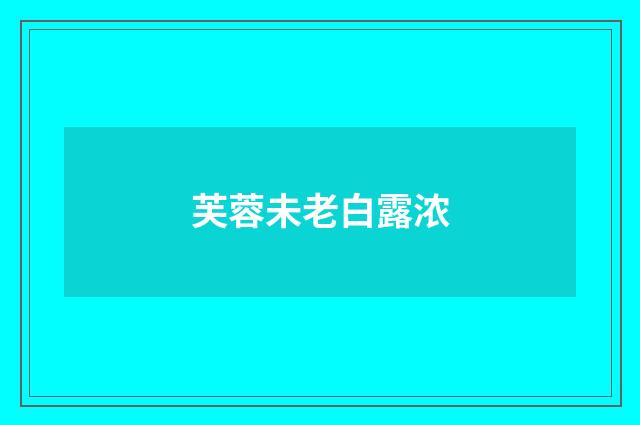 芙蓉未老白露浓
