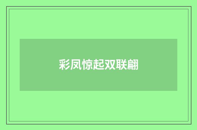 彩凤惊起双联翩