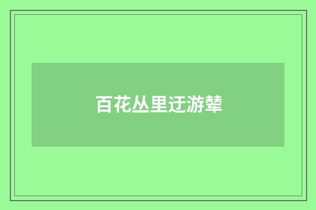 百花丛里迂游辇