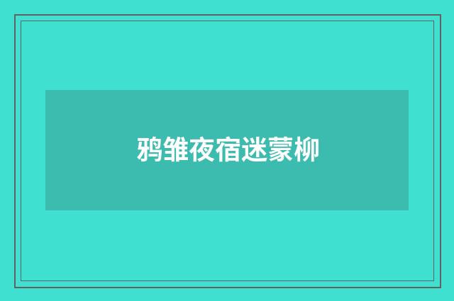 鸦雏夜宿迷蒙柳