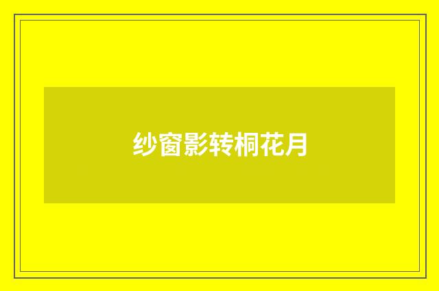 纱窗影转桐花月