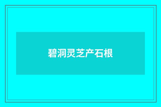 碧洞灵芝产石根