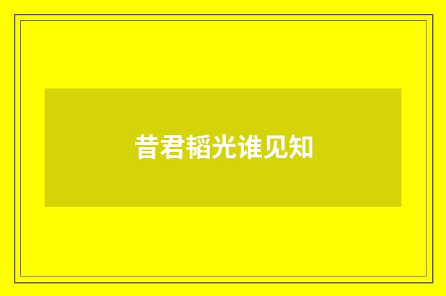 昔君韬光谁见知