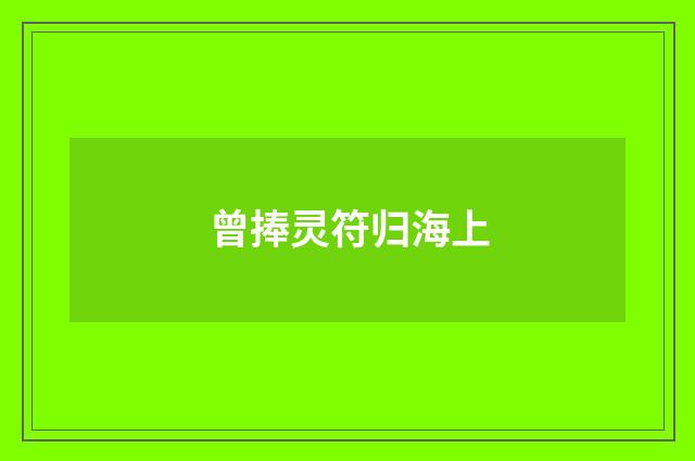 曾捧灵符归海上