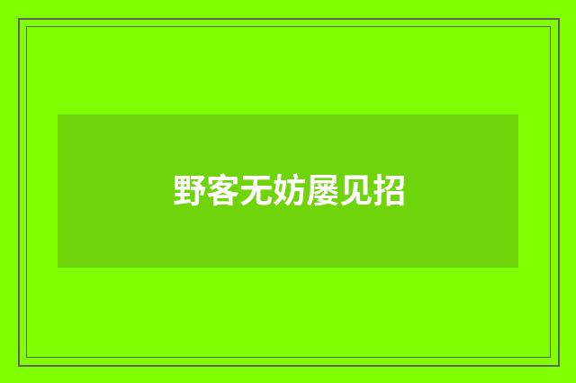 野客无妨屡见招