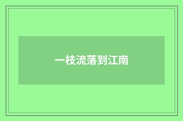 一枝流落到江南