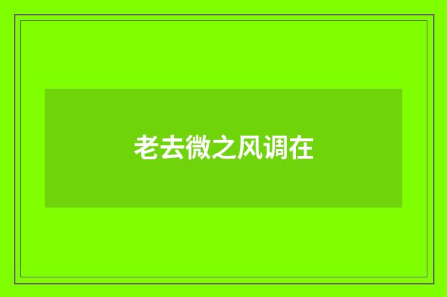 老去微之风调在