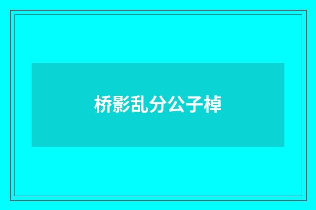 桥影乱分公子棹