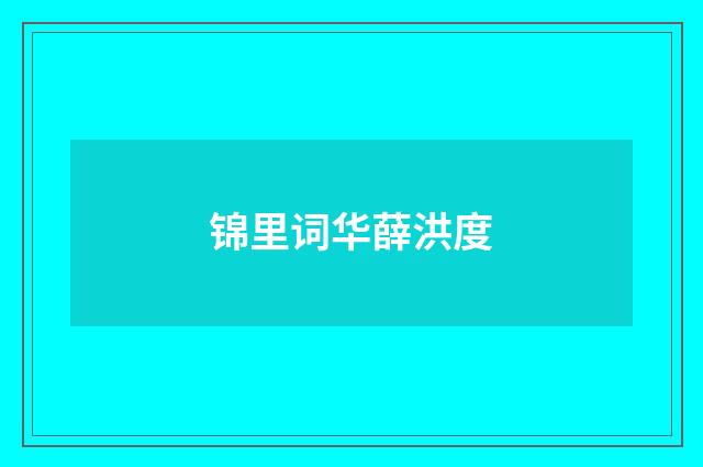 锦里词华薛洪度