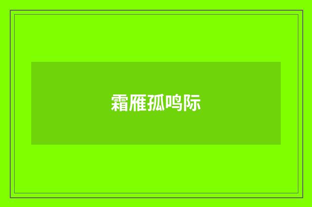 霜雁孤鸣际