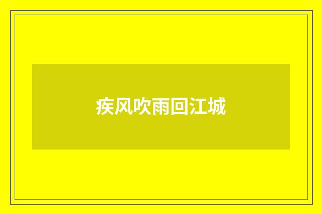 疾风吹雨回江城