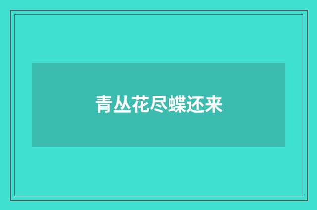 青丛花尽蝶还来
