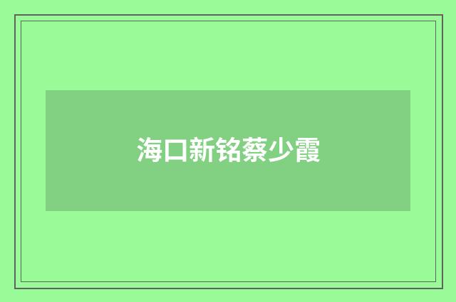 海口新铭蔡少霞