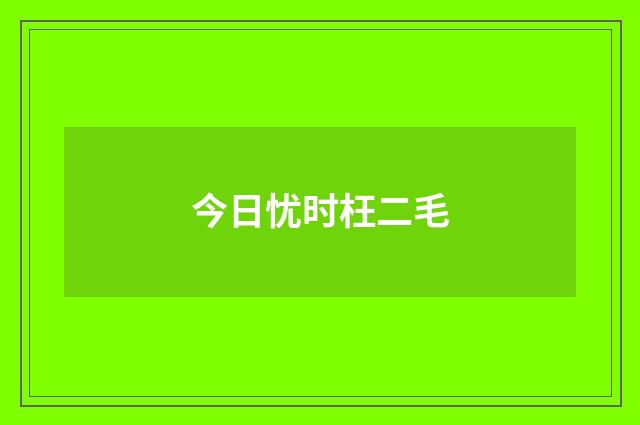 今日忧时枉二毛