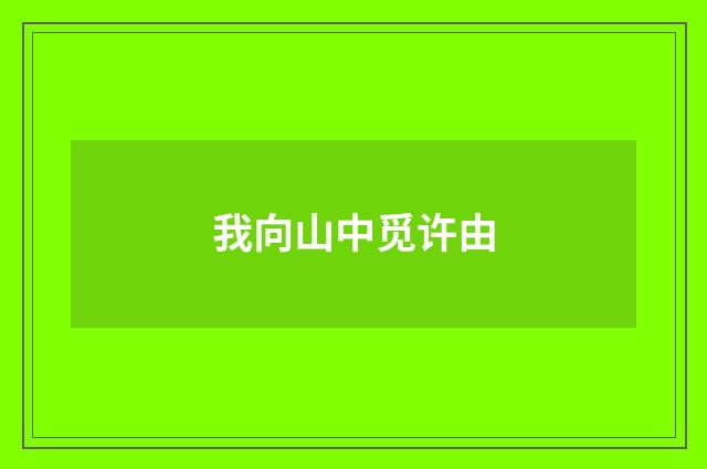 我向山中觅许由