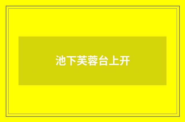 池下芙蓉台上开