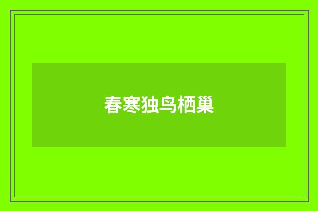 春寒独鸟栖巢