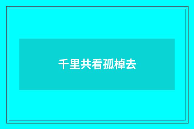 千里共看孤棹去
