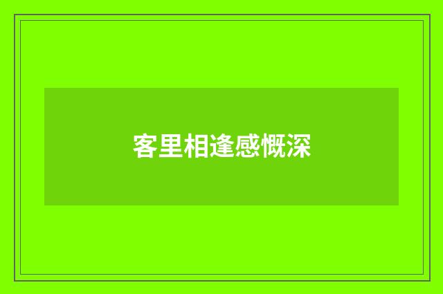 客里相逢感慨深