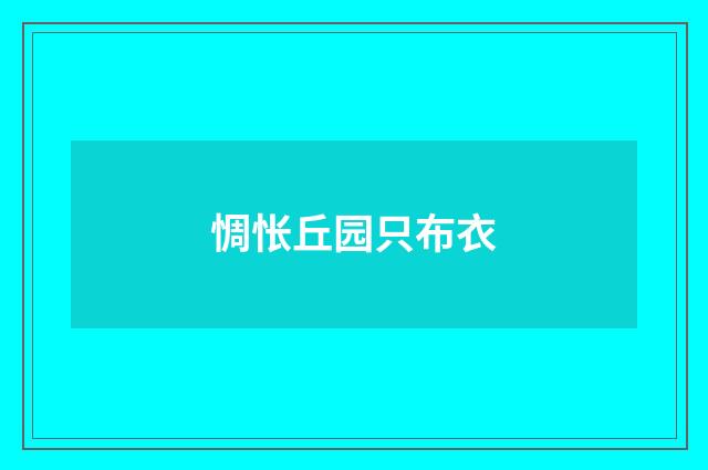 惆怅丘园只布衣