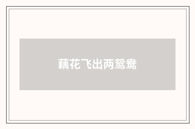 藕花飞出两鸳鸯