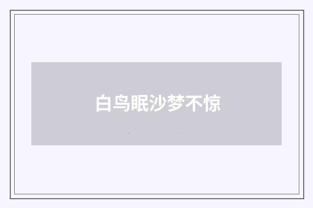 白鸟眠沙梦不惊