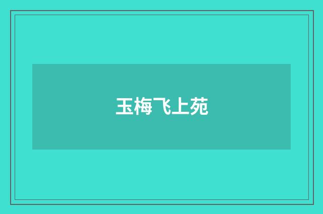 玉梅飞上苑