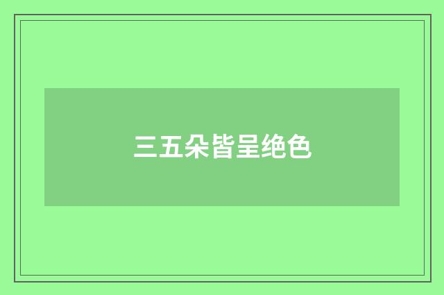 三五朵皆呈绝色