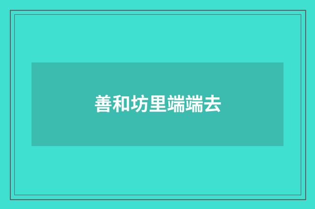 善和坊里端端去