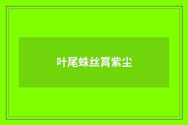 叶尾蛛丝罥紫尘