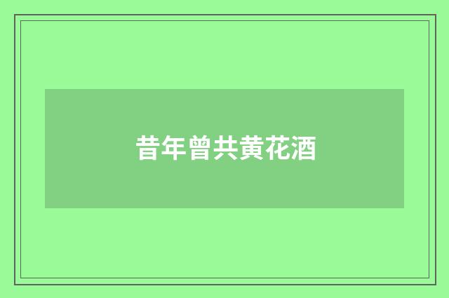 昔年曾共黄花酒