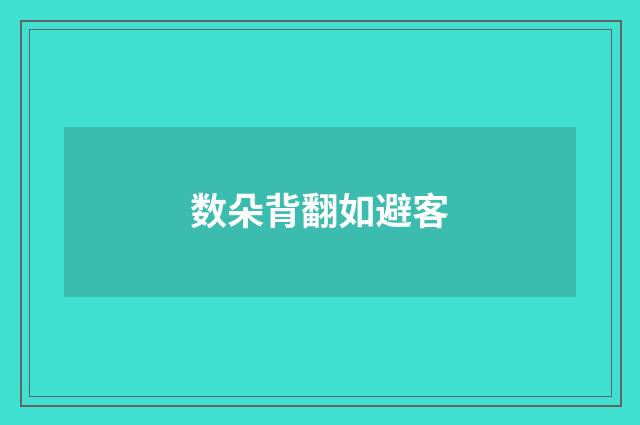 数朵背翻如避客