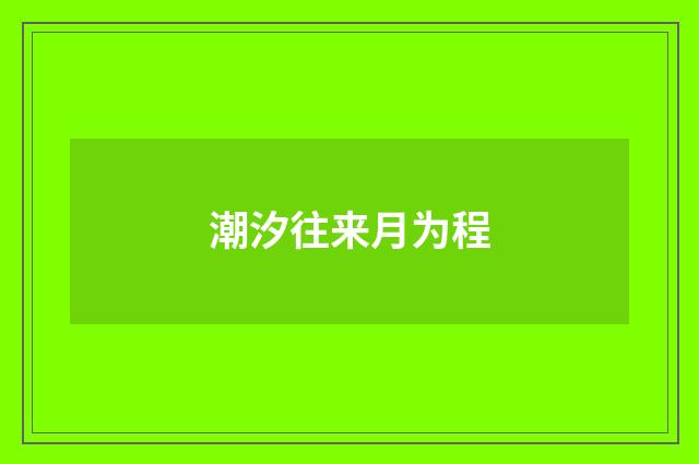 潮汐往来月为程