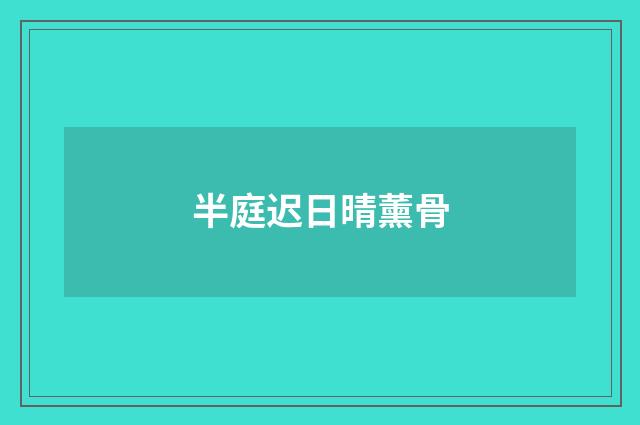 半庭迟日晴薰骨