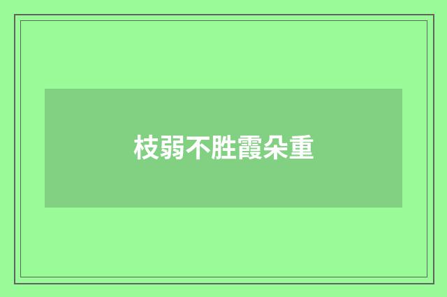 枝弱不胜霞朵重