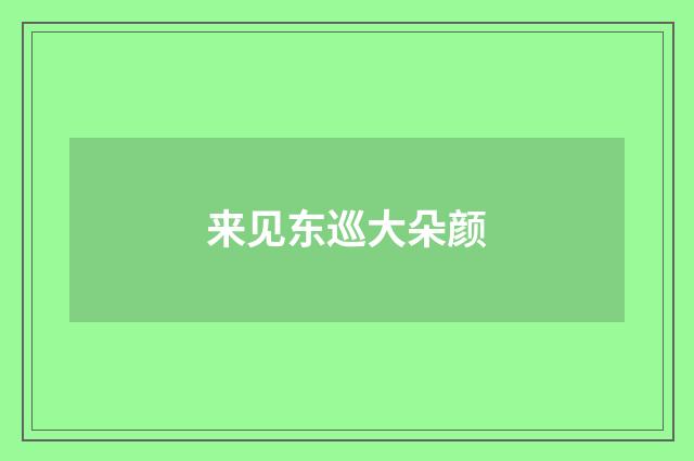来见东巡大朵颜