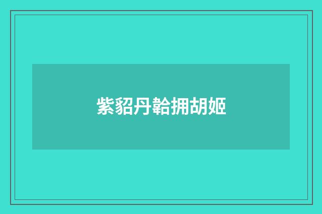 紫貂丹韐拥胡姬