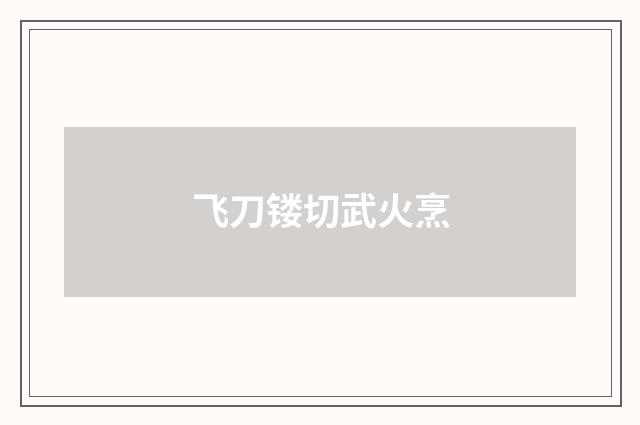 飞刀镂切武火烹