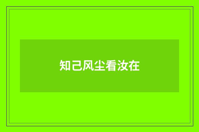 知己风尘看汝在
