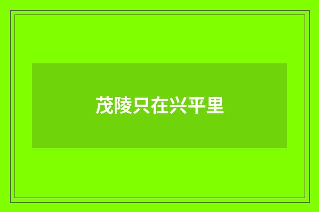 茂陵只在兴平里