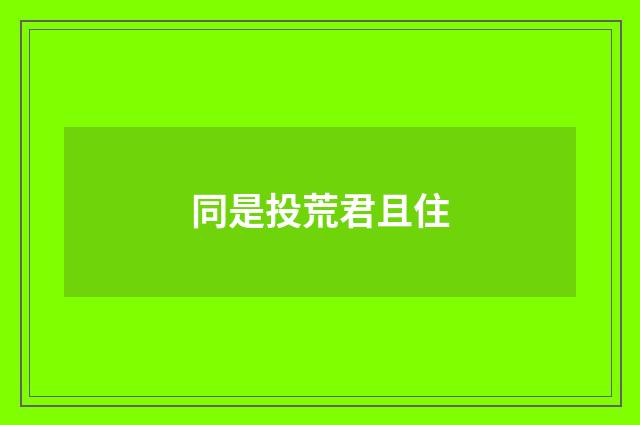 同是投荒君且住